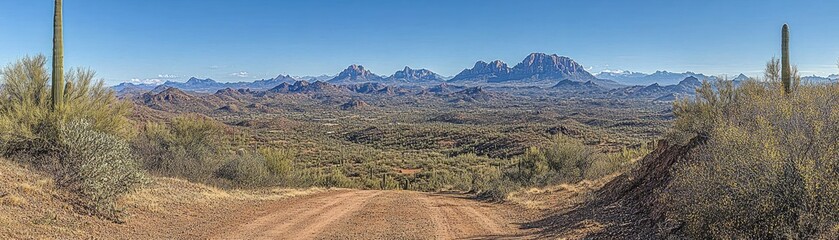 Naklejka premium Desert road panorama, mountain vista, cacti, Arizona