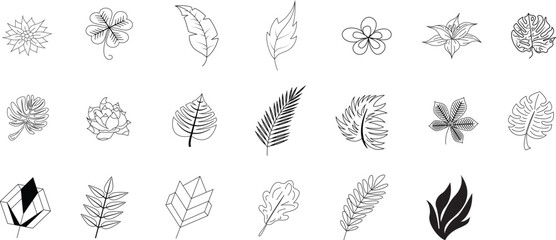 Botanical Doddle Set