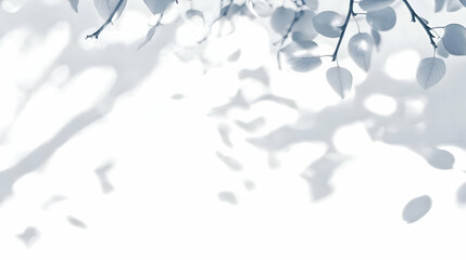 Soft Light and Shadows of Leaves Create a Serene Backdrop with Gentle Highlights.