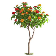 Fototapeta premium Vibrant Zinnia Flowers on Tree with Green Leaves and Bright Colors
