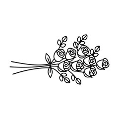  Small bouquet of roses bunch of flowers Hand drawn line art vector illustration