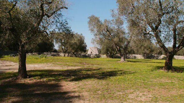 Pajare a typical trullo of Salento land in the south of Italy.