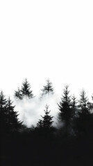 Dark and Enchanting Forest Scene with Fog and Trees Emerging Mysteriously