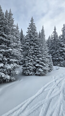 Snow Skiing in Colorado