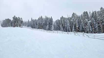 Snow Skiing in Colorado