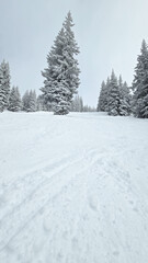 Snow Skiing in Colorado