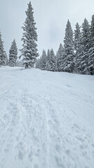 Obraz premium Snow Skiing in Colorado