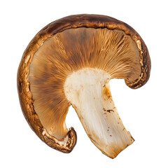 Slice of champignon isolated on transparency  background, top view, mushroom png