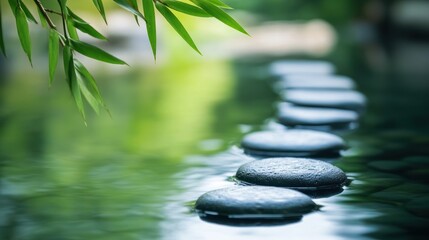 Fototapeta premium Serene stepping stones in calm water, bamboo leaves.