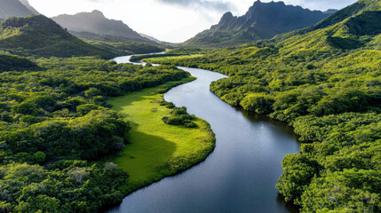 Fototapeta premium scenic view of winding river through lush green valley landscape