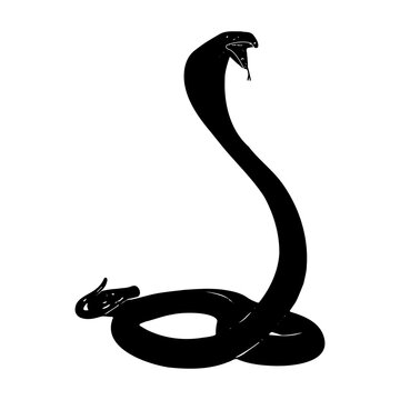 sio snake lunar day