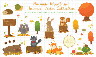 vector set of a cute autumn animal characters and seasonal autumn elements like leaves, acorns, and more. Perfect for fall-themed designs, postcard, poster