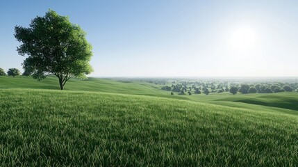 Solitary Tree in Green Field