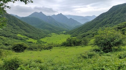 Obraz premium Lush Green Mountain Valley