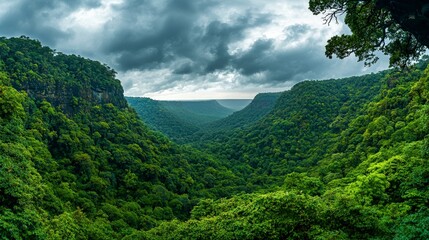 Obraz premium Breathtaking view of a vast forested valley nature landscape cloudy skies scenic panorama serene environment