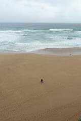 people walking on the beaches along the 
