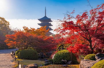 The most beautiful viewpoint of Toji(To-ji) is a popular tourist destination in Kyoto, Japan.