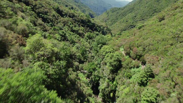 A serene 4k aerial drone video showcasing a picturesque valley nestled between lush green mountains at the 25 fontes levada in Madeira, Portugal in 4k aerial drone