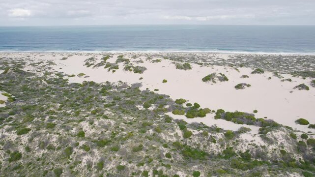 Sand Dune Beach Facing The Indian Ocean In Western Australia. Aerial Drone Shot