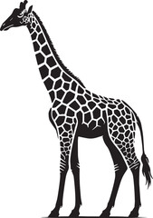 Naklejka premium Black Color Giraffe Silhouette Vector Illustration, Solid White Background