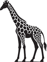 Black Color Giraffe Silhouette Vector Illustration, Solid White Background