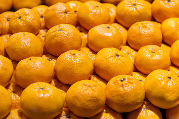 Fresh oranges arranged neatly in the supermarket
