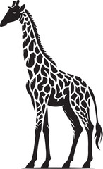 Naklejka premium Black Color Giraffe Silhouette Vector Illustration, Solid White Background