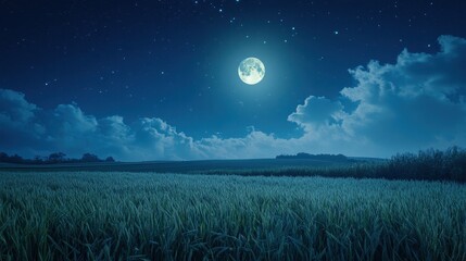 Fototapeta premium Full moon and Japanese pampas grass in midnight,The harvest Miscanthus sinensis and full moon,beautiful night sky in the countryside with the perfect moon exudes beauty in the dark.