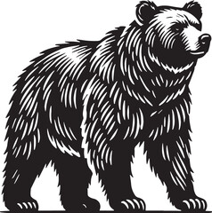 Black Color Grizzly Bear Silhouette Vector Illustration, Solid White Background