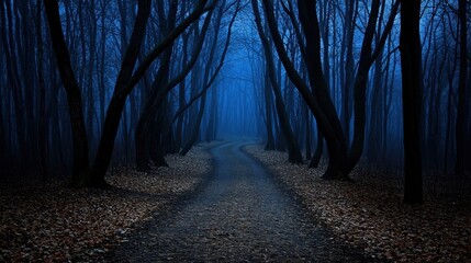 Fototapeta premium A dark forest with a road leading through it