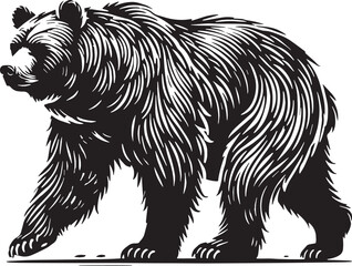 Black Color Grizzly Bear Silhouette Vector Illustration, Solid White Background