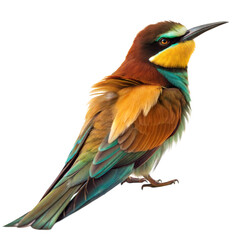 Obraz premium Bee Eater AI Generated Image