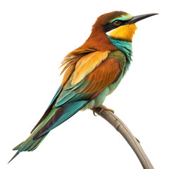 Fototapeta premium Bee Eater AI Generated Image