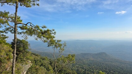 landscape with trees and clouds