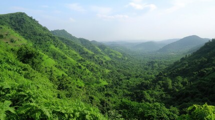 Naklejka premium Lush Green Mountain Valley