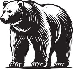 Black Color Polar Bear Silhouette Vector Illustration, Solid White Background