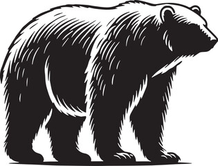 Black Color Polar Bear Silhouette Vector Illustration, Solid White Background