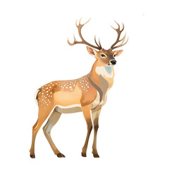  Illustration deer animal wildlife nature wild background design mammal vector stag
