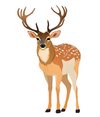  Illustration deer animal wildlife nature wild background design mammal vector stag