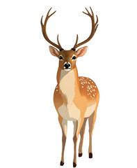  Illustration deer animal wildlife nature wild background design mammal vector stag