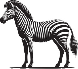 Black Color Zebra Silhouette Vector Illustration, Solid White Background