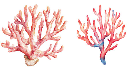 Vibrant coral illustrations underwater scene digital art marine environment artistic viewpoint nature concept