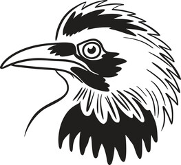 eagle head isolated on white