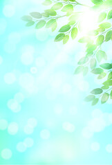 Fototapeta premium 新緑 葉 風景 背景