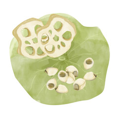Watercolor Leaf, Lotus Root Pieces and Seeds, Illustration Composition for Web, Print, Textile, Products and Advertising