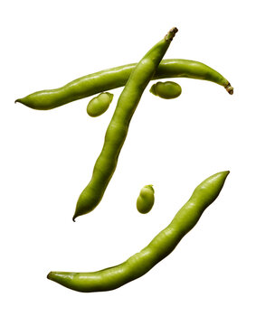 Cheerful Green Bean Arrangement