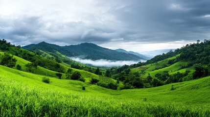 Obraz premium Misty Mountain Valley Landscape