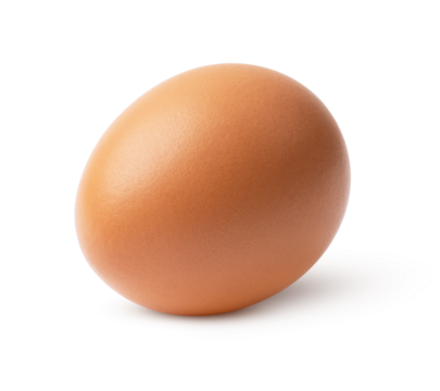 egg isolated on white background