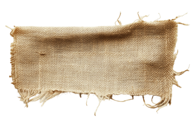 Torn Piece of Burlap Isolated on White and Transparent Background