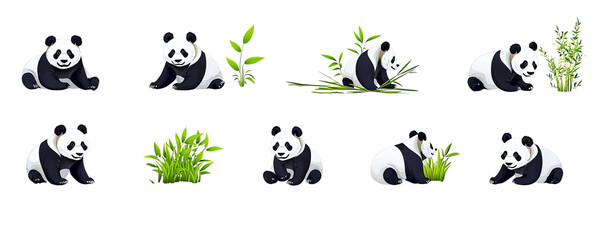 Obraz premium A collection of playful pandas interacting with bamboo in various poses on a white isolated background.